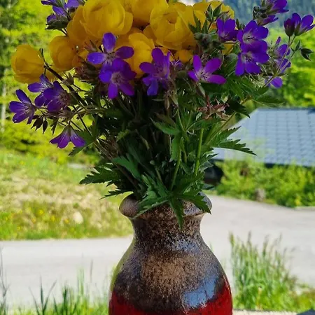 Dom wakacyjny Rain Innerlaterns