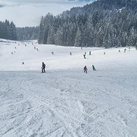 Dom wakacyjny Rain *